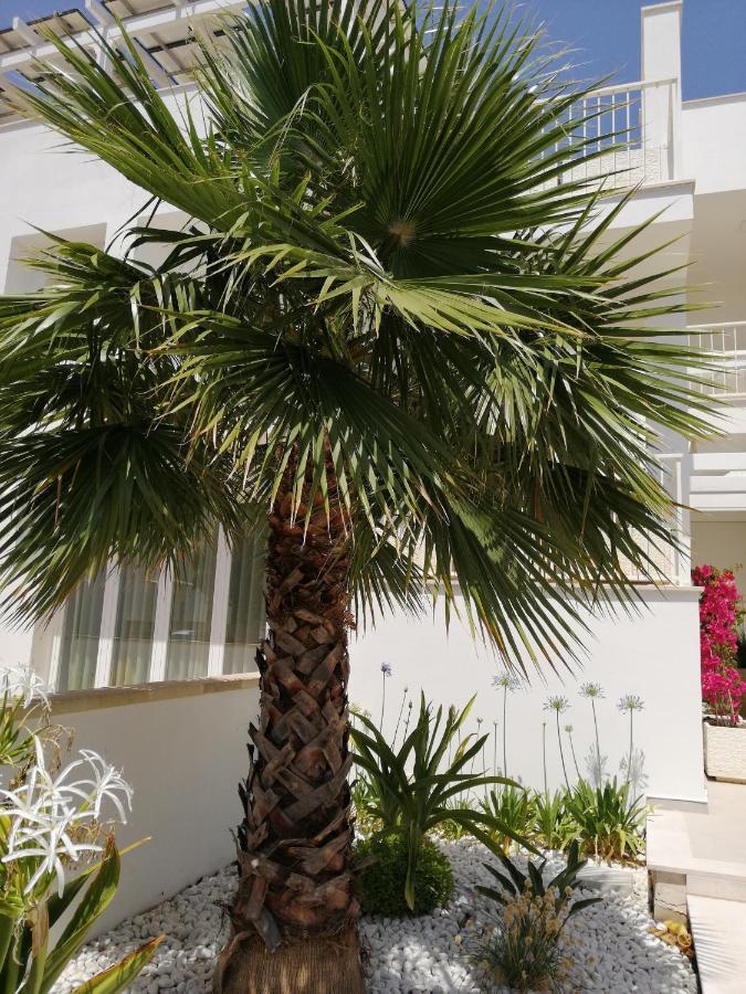 Residence Valentina Int 4 - Rooftop Sea View Infinity Pool Санта Мария ал Баньо Екстериор снимка